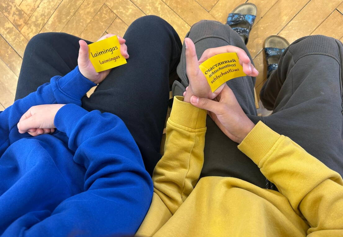 menschenmemory.jpeg